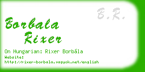 borbala rixer business card